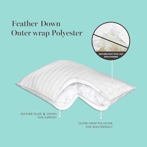 Martha Stewart Medium Soft Feather Down 100% Cotton 500 Thread Count Damask Stripe Embroidered Queen Size Set of 2