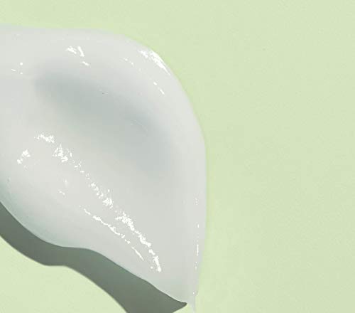 Volition Beauty Celery Green Cream with Peptides + Hyaluronic Acid | Lightweight Oil-Free Facial Moisturizer | Minimizes Pores, Improves Firmness & Visibly Reduces Lines & Wrinkles