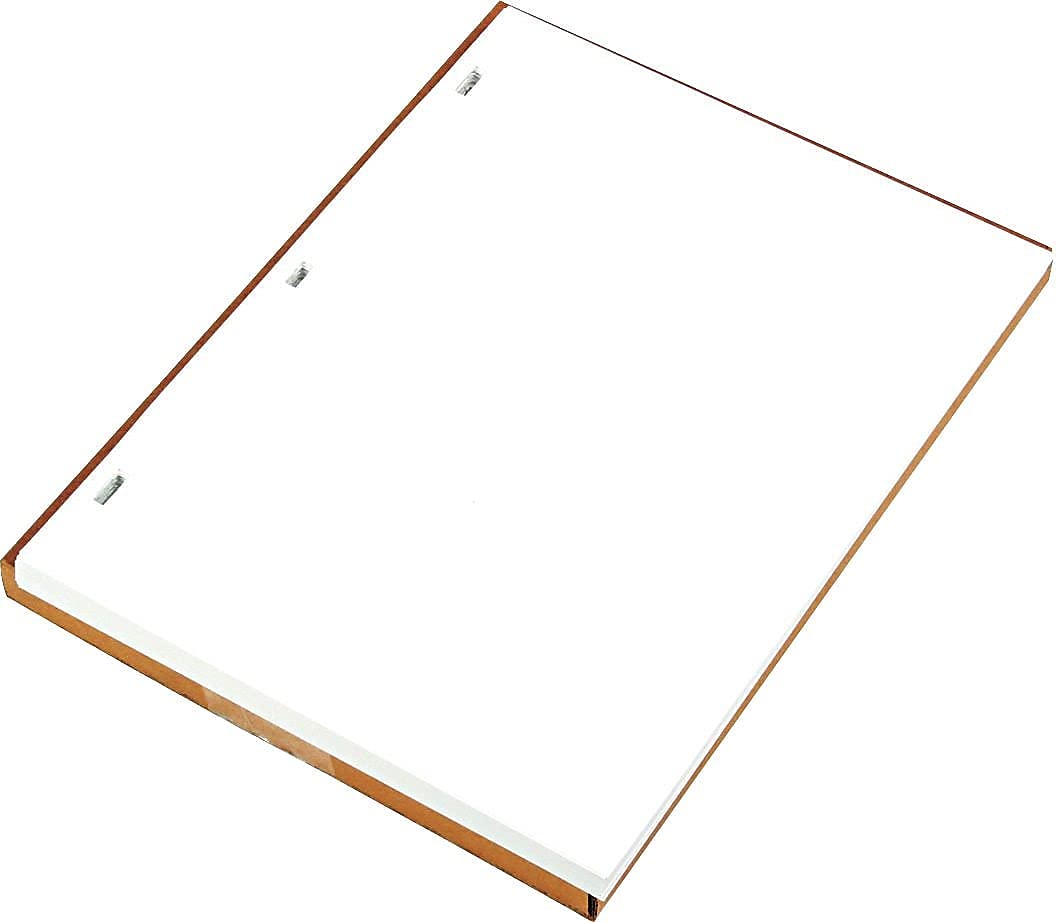 Wilson Jones 90310 Ledger Sheets for Corporation and Minute Book, White, 11 x 8-1/2, 100 Sheets