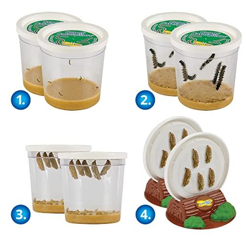 Insect Lore Butterfly Garden | 10 Live Baby Caterpillars | Habitat, Feeder, Chrys-A-Lid Logs, STEM Journal Included | Raise and Release Painted Lady Butterflies