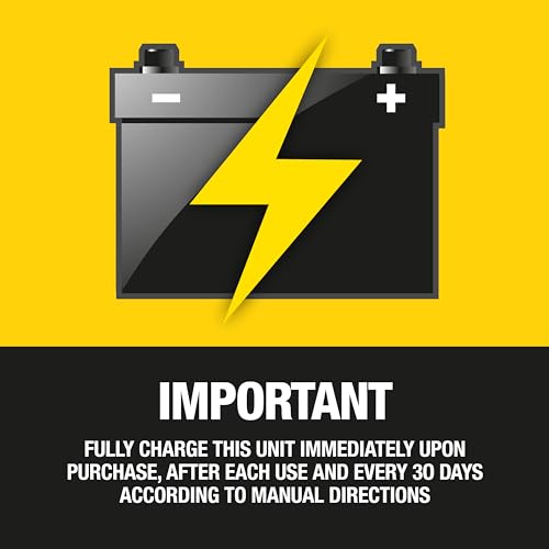 STANLEY J5C09 1000 Peak Amp Automotive Jump Starter, Portable Power – 2.1A/10W USB Port, 12V Outlet, 120 PSI Air Compressor for Tires, Bikes & Sports Equipment