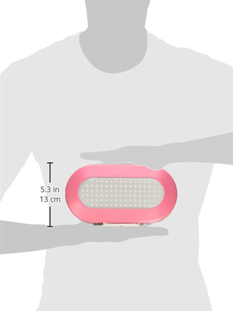 Master Lock Pink Portable Small Lock Box, Set Your Own Lock Combination Portable Safe, Personal Travel Safe for Phone, Passport, Money, 5900DPNK