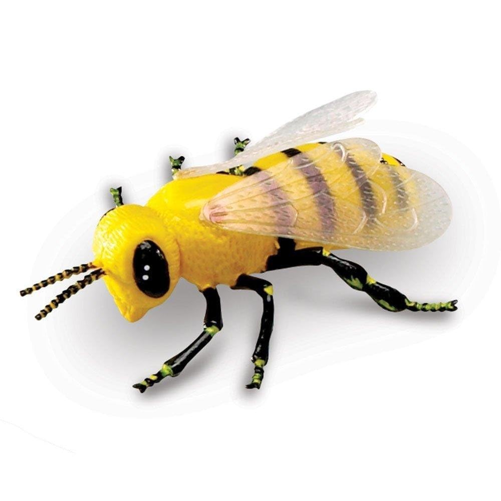 Learning Resources LER0789 Jumbo Insects