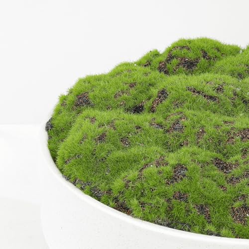 NAHARO New Moss Bowl, Handmade Ceramic. 11" Artificial Moss Bowl Centerpiece for Home Decoration, Living Room, Office