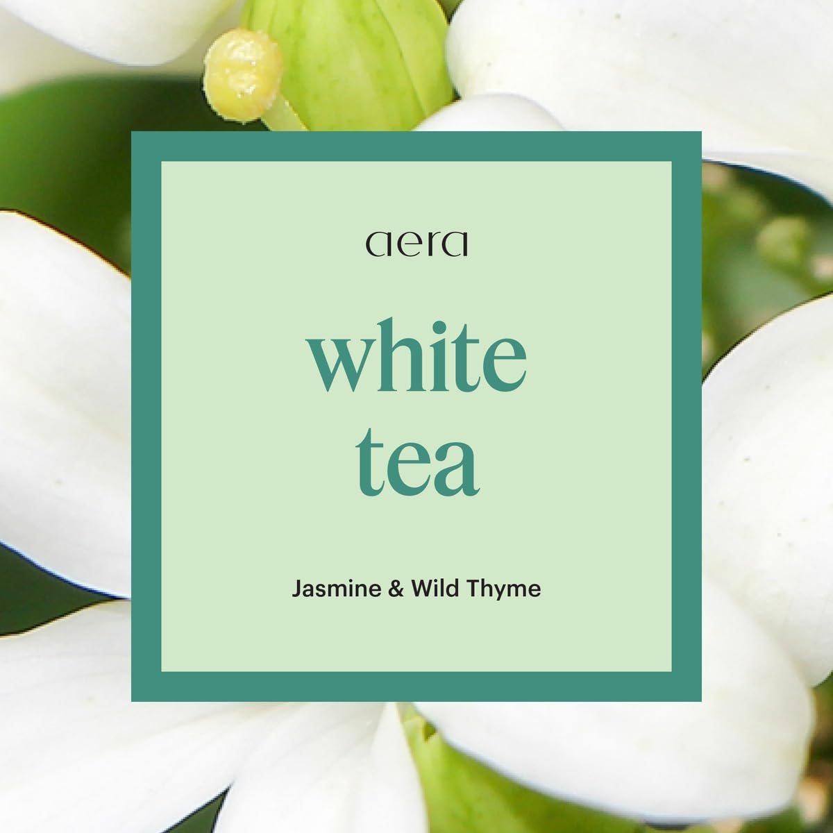 Aera White Tea Home Fragrance Scent Refill - Notes of White Tea, Jasmine and Thyme - Works with the Aera Diffuser