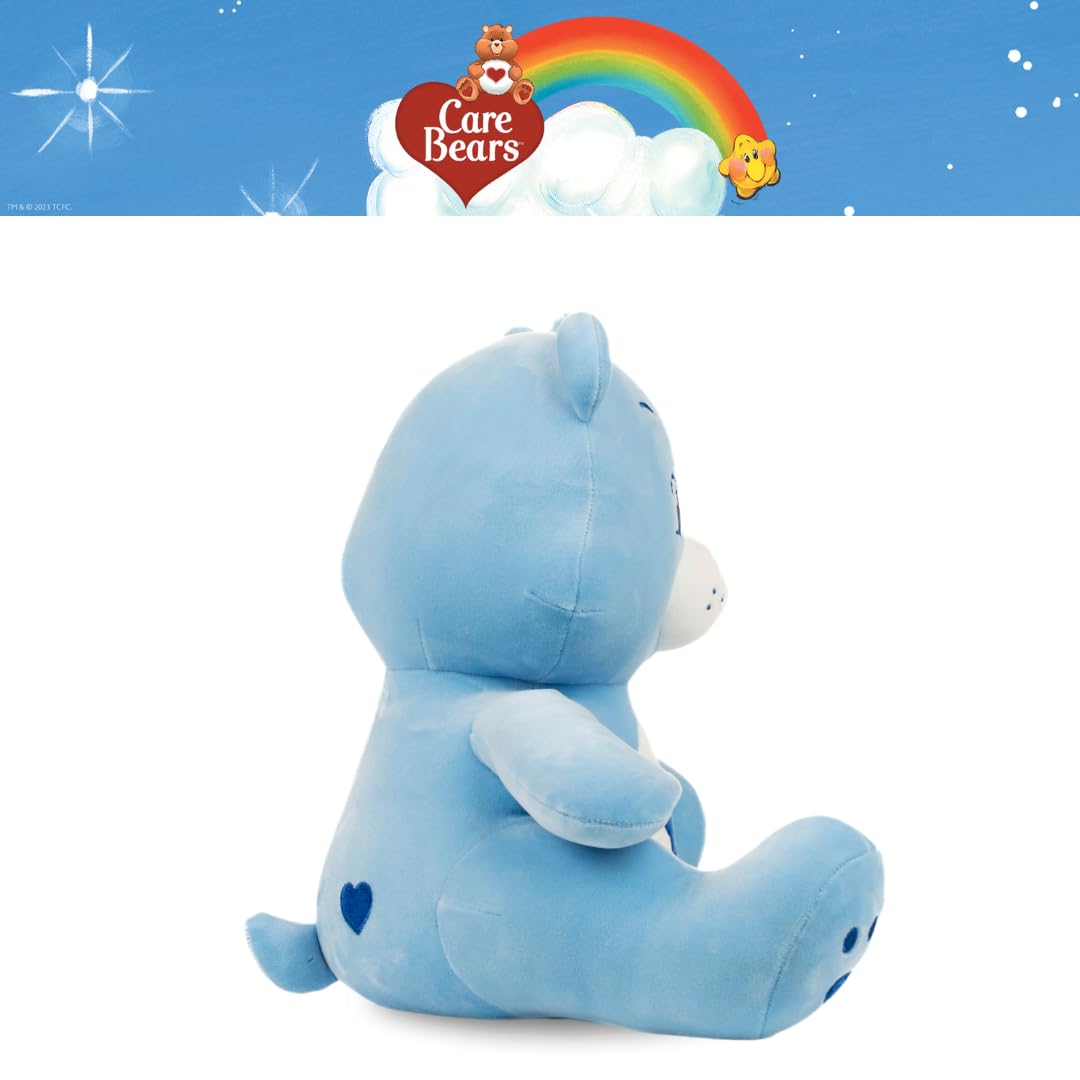 Franco Calm Care Bears Grumpy Bear Bedding Super Soft Calming 3Lb Weighted Cuddle Pillow Buddy, Comfort Pillow, (Officially Licensed Product)