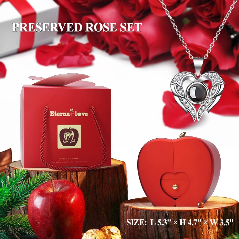 moshen Preserved Red Rose Flower Gift Box with LED Lights, Romantic Gift for Women, Ideal Gift for Mom Wife Girlfriend on Mother's Day, Valentine's Day, Christmas, Birthdays Anniversary (Red)