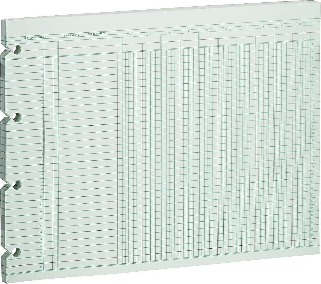 Wilson Jones G1010 Accounting Sheets, 10 Column, 9-1/4 x 11-7/8, Green (Pack of 100 Loose Sheets)