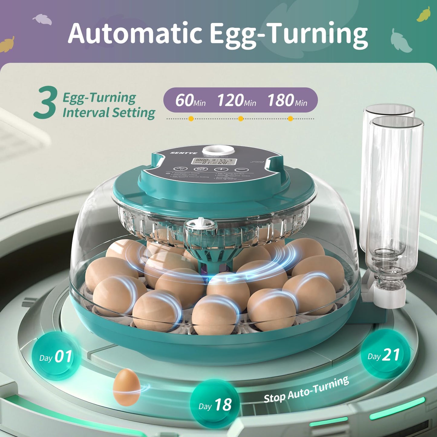 18 Egg Incubator with Automatic Egg Turning and Humidity Control, Egg Incubators for Hatching Eggs, Incubator for Chicken Eggs, Quail Eggs