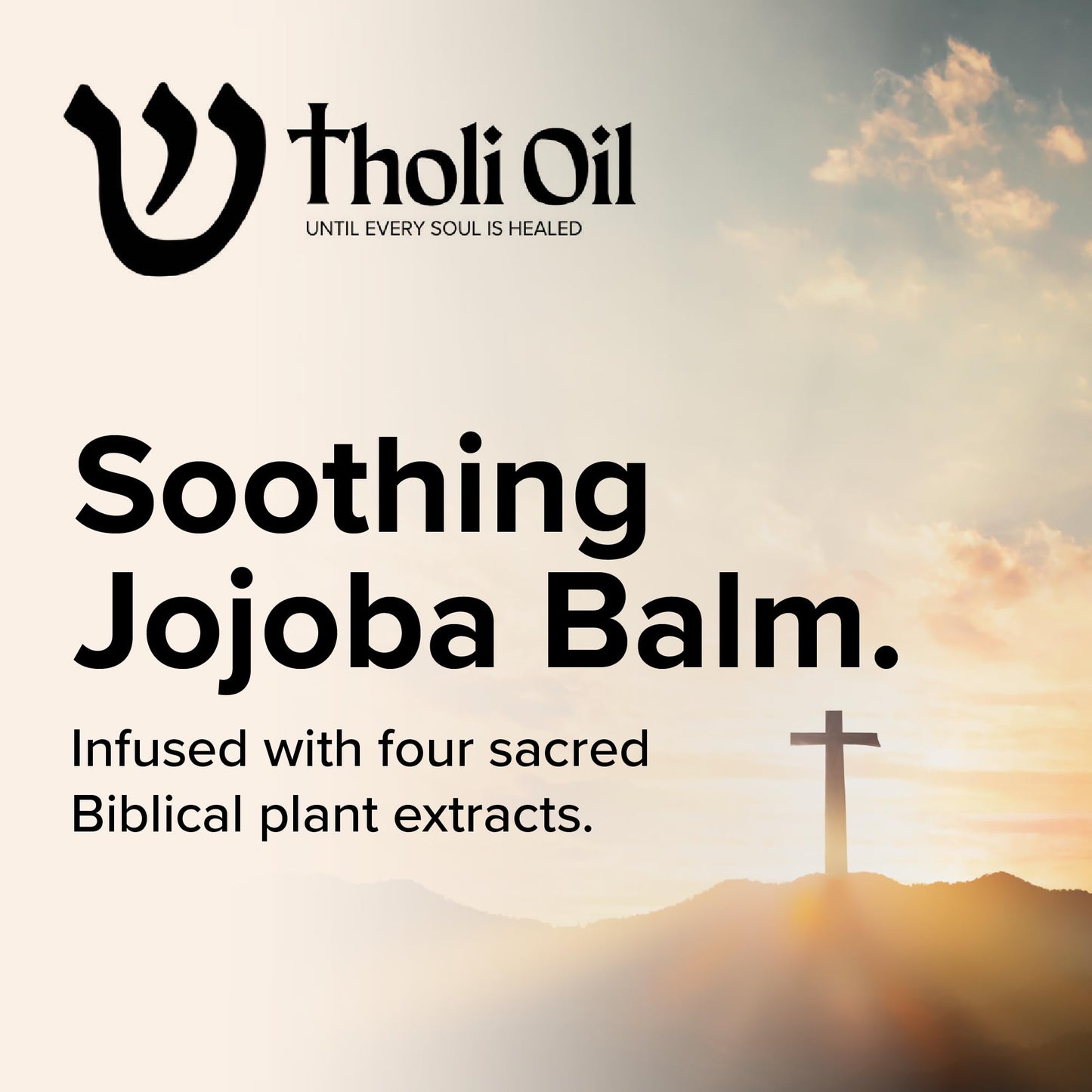 Tholi Oil - Jojoba Balm with Cinnamon, Hyssop, Spikenard, Cassia - Infused with Biblical Oils for Skin - 4oz Jar