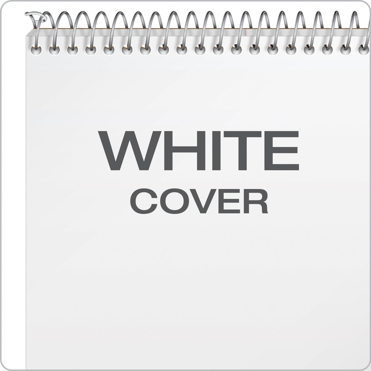 Ampad Steno Notebook, 6 X 9 Inches, White Paper, Gregg Ruled, White Cover, 70 Sheets Per Book, 12-Pack (25-472)