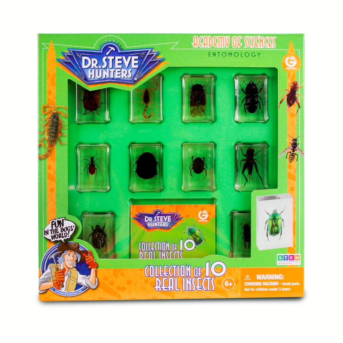 Uncle Milton Dr. Steve Hunters - Bugs World Collection - 10 Real Insects - Scientific Educational Toy