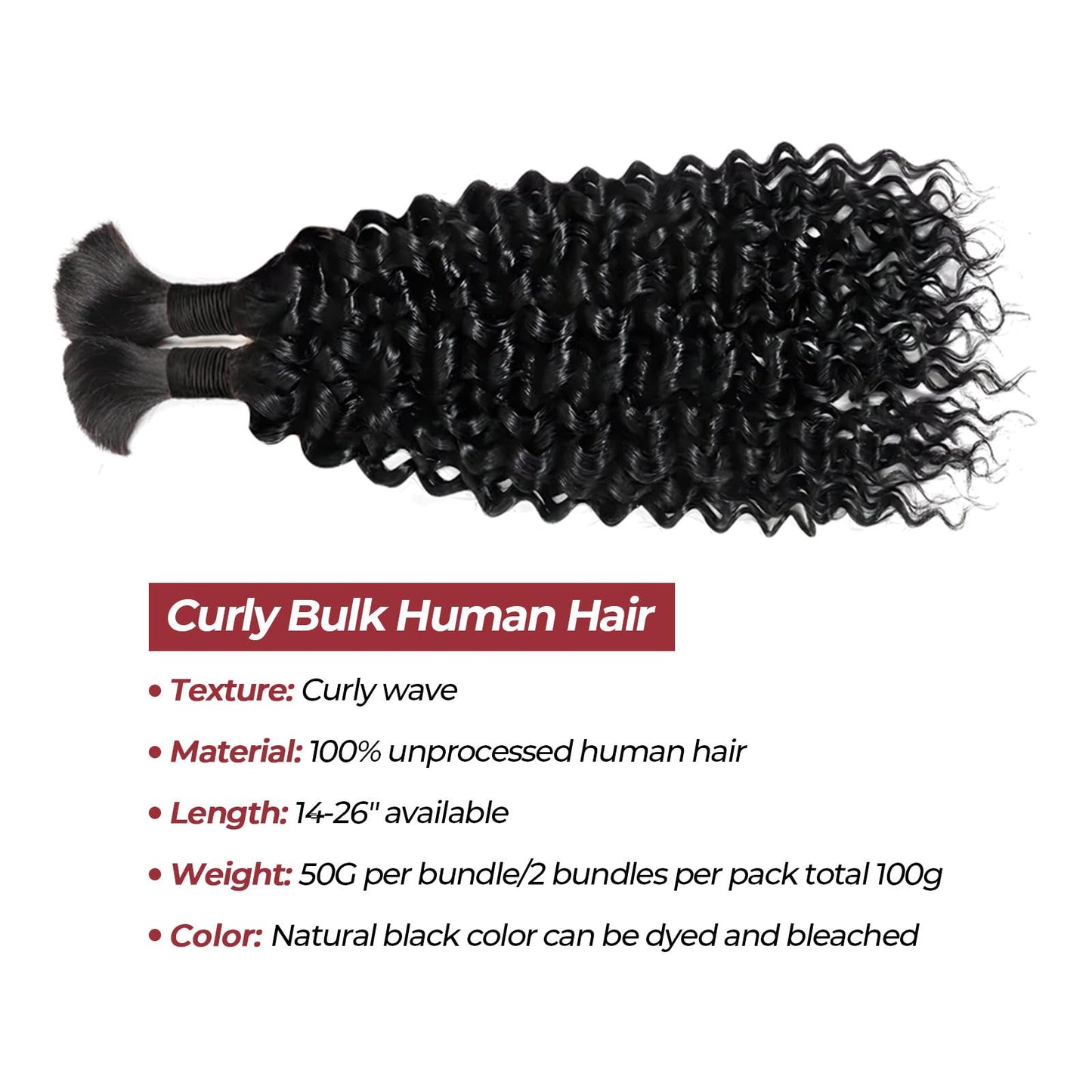 100 Percent Human Braiding Hair for Boho Braids 24 Inch Curly Human Hair for Boho Braids 2 Bundles 100g Boho Hair for Braiding Deep Wave Bulk Human Hair for Boho Knotless Braids (1B,24inch)