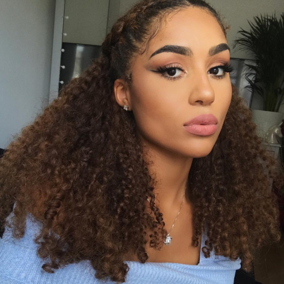 Lacer Hair Curly Clip in Real Remy Human Hair Extensions Afro Kinky Curly Clip ins 4B 4C Natural Black Hair Extensions with 17 Clips 120G Full Head,10 inch,T#1B/4 AC