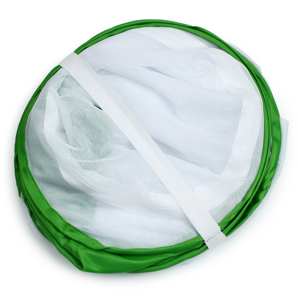 4 Feet Extra Large Monarch Butterfly Habitat, Giant Collapsible Insect Mesh Cage Terrarium Pop-up (White + Green, 28 x 28 x 48 Inches)