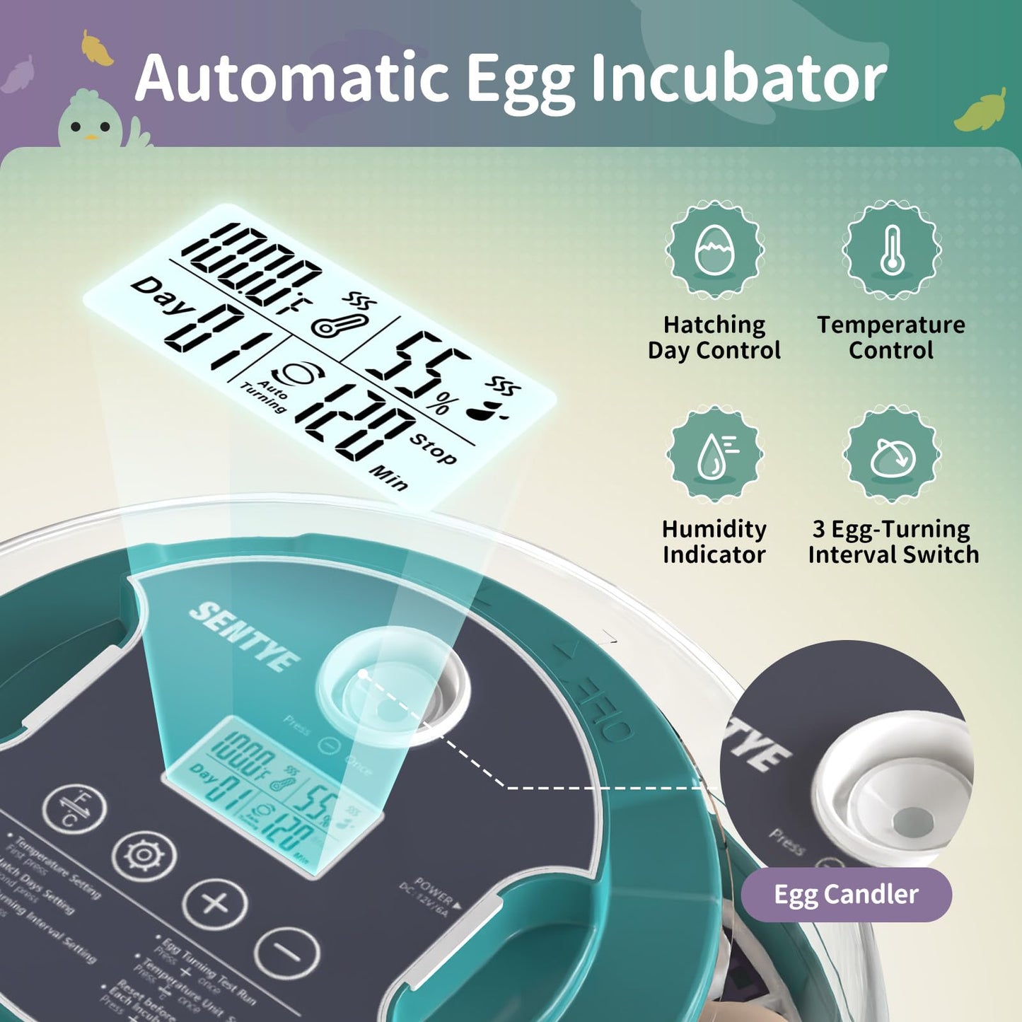 18 Egg Incubator with Automatic Egg Turning and Humidity Control, Egg Incubators for Hatching Eggs, Incubator for Chicken Eggs, Quail Eggs