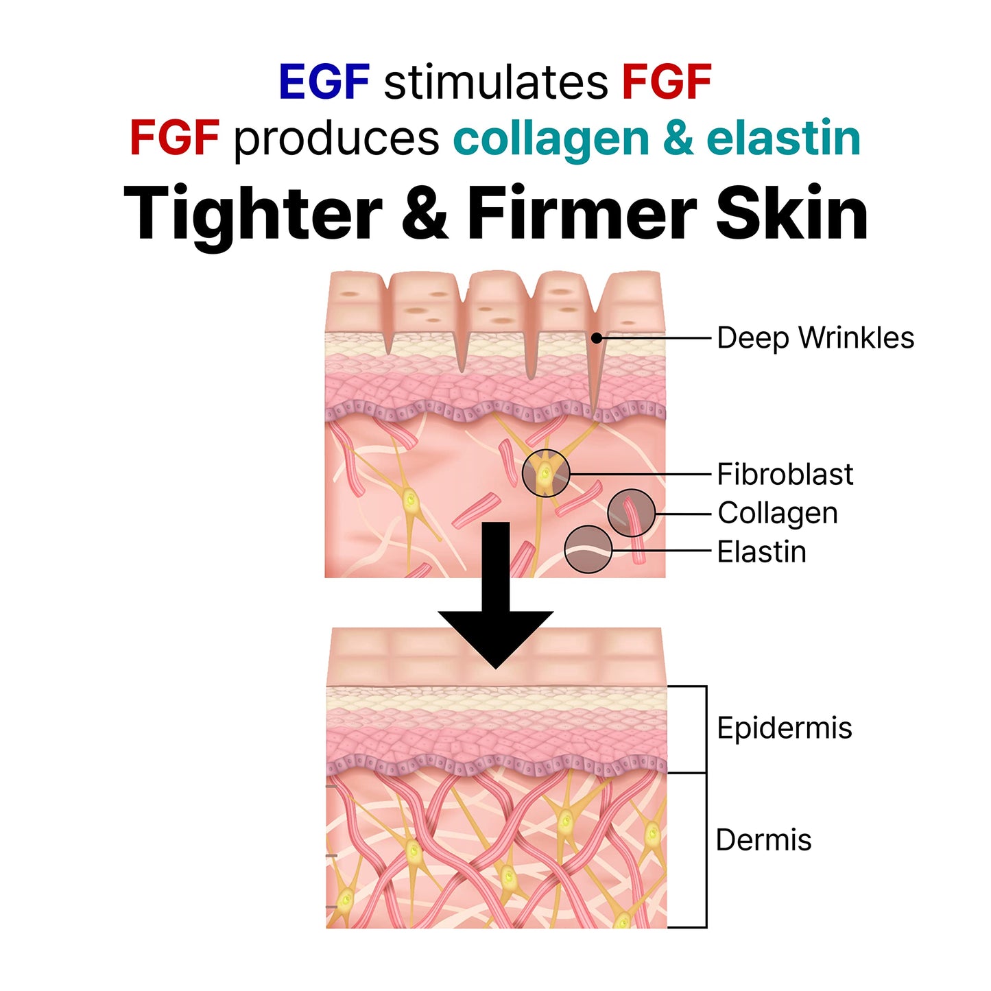 LANBELLE Ultra Lifting EGF FGF Ampoule Serum w/Centella Asiatica and Hyaluronic Acids & Celdyque Advanced Retinol Pro Serum Duo Set Improves Skin Balance Anti-Aging Skin-Smoothing Korean Skincare