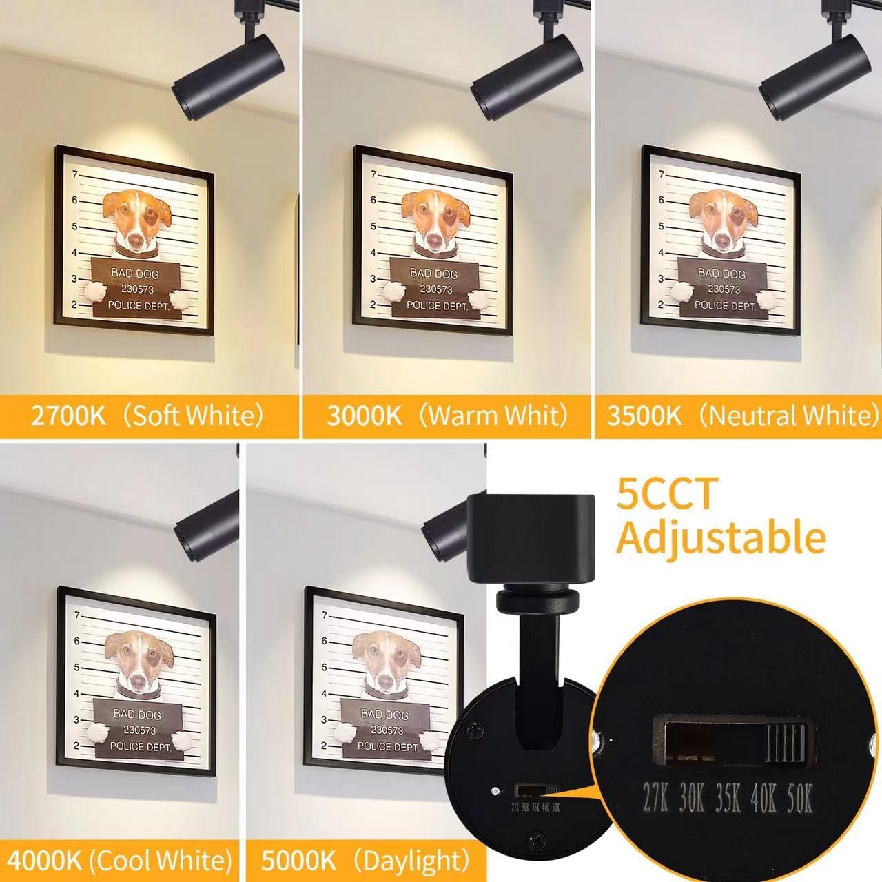 Ajbvp 5Color LED Track Lighting Heads 12W Dimmable,Zoomable Beam15°/24°/36°/45°/60°,2700K/3000K/3500K/4000K/5000K,Single Circuit H Track Lighting Heads Ceiling Fixtures Art Lighting(6 Pack-Black)