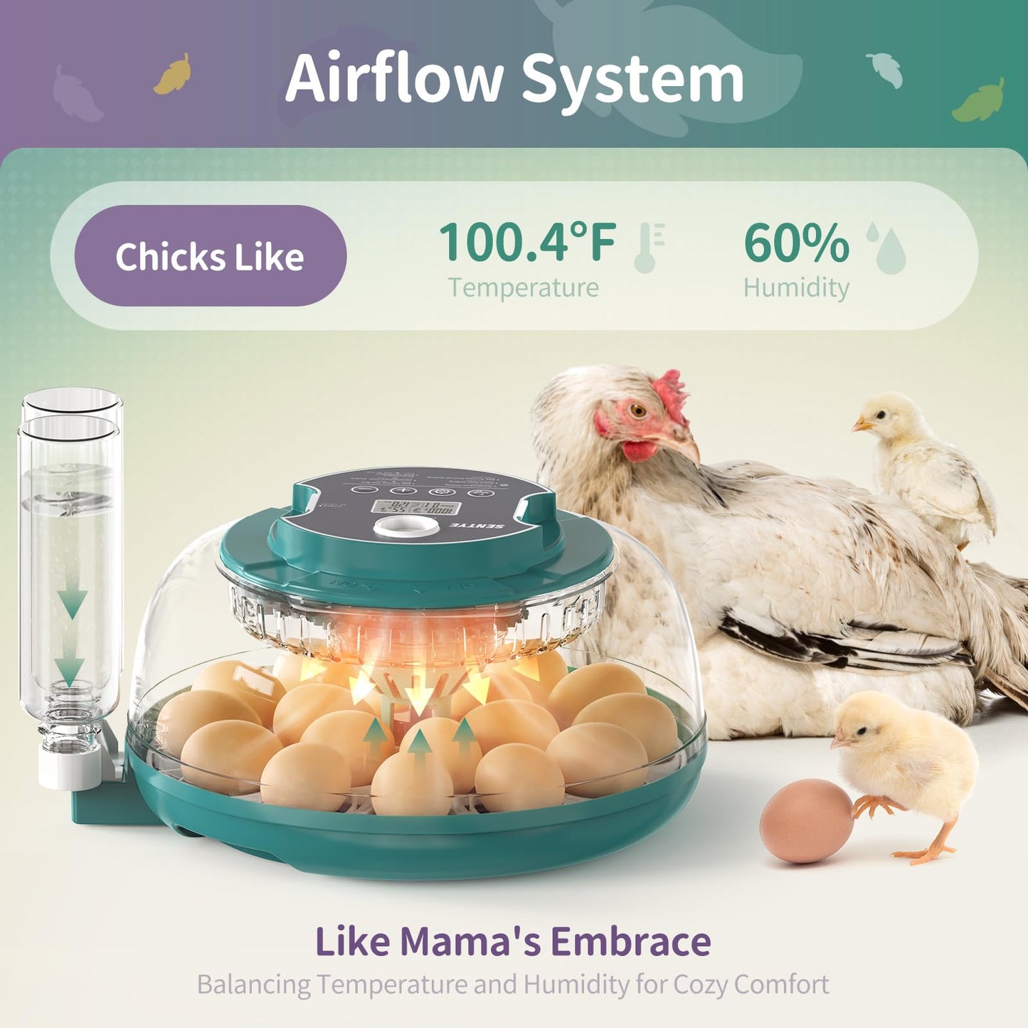 18 Egg Incubator with Automatic Egg Turning and Humidity Control, Egg Incubators for Hatching Eggs, Incubator for Chicken Eggs, Quail Eggs