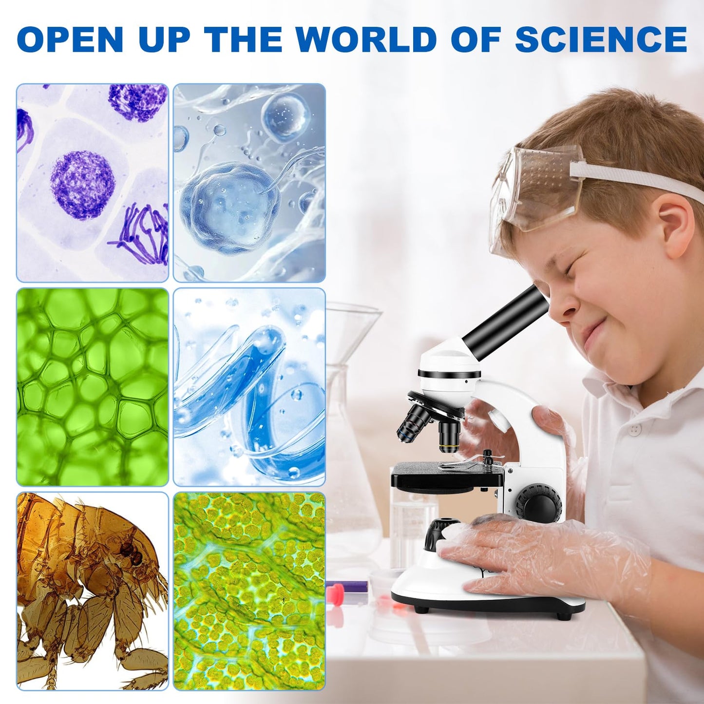 Microscope for Adults and Kids, Science School Laboratory Home Education Biology, 40-2000X High Definition,Easy to Operate,with Phone Holder 10 Specimen Slides 100 Coverslips and Bag for Student