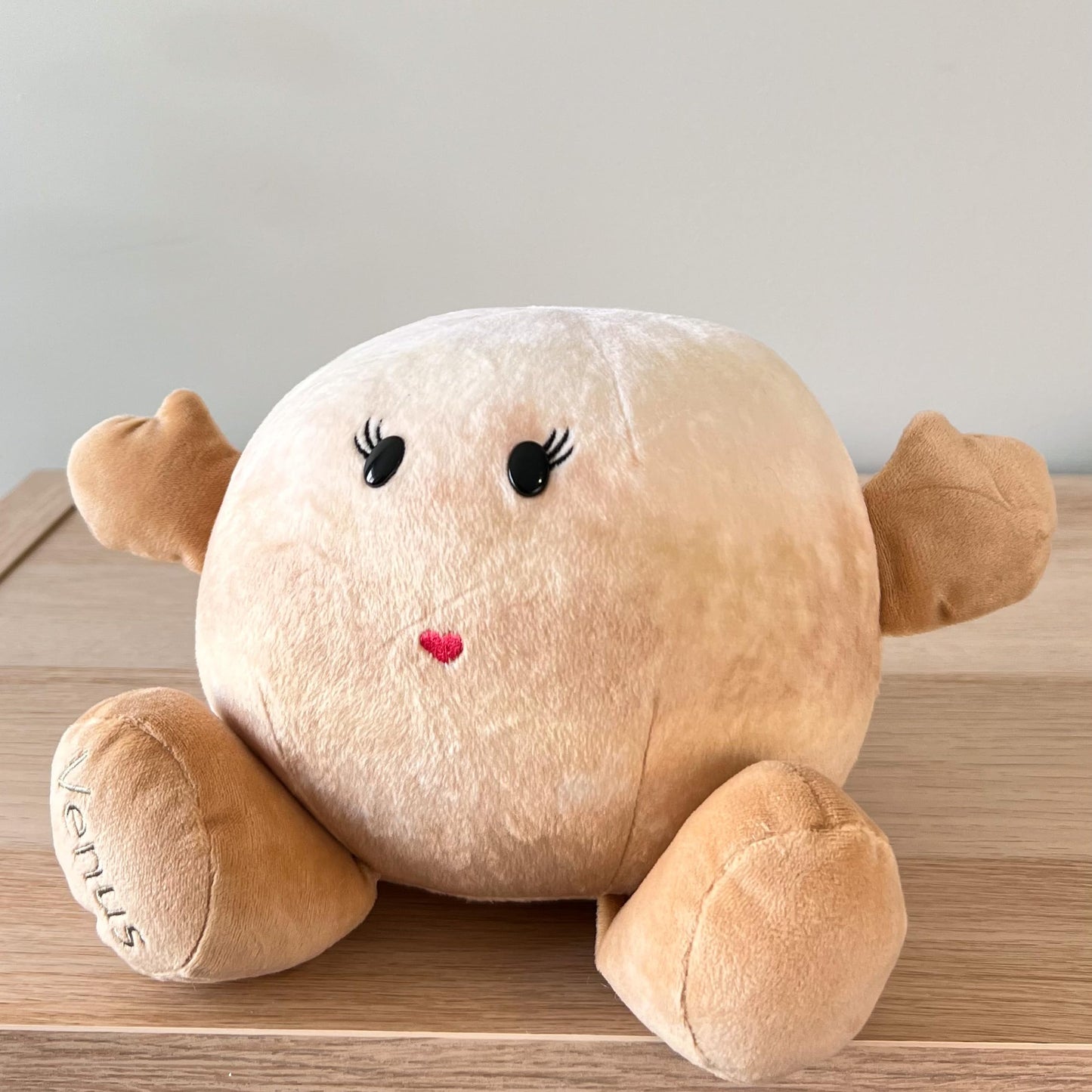 Celestial Buddies Venus Buddy Science Astronomy Space Solar System Educational Plush Blue Planet Toys