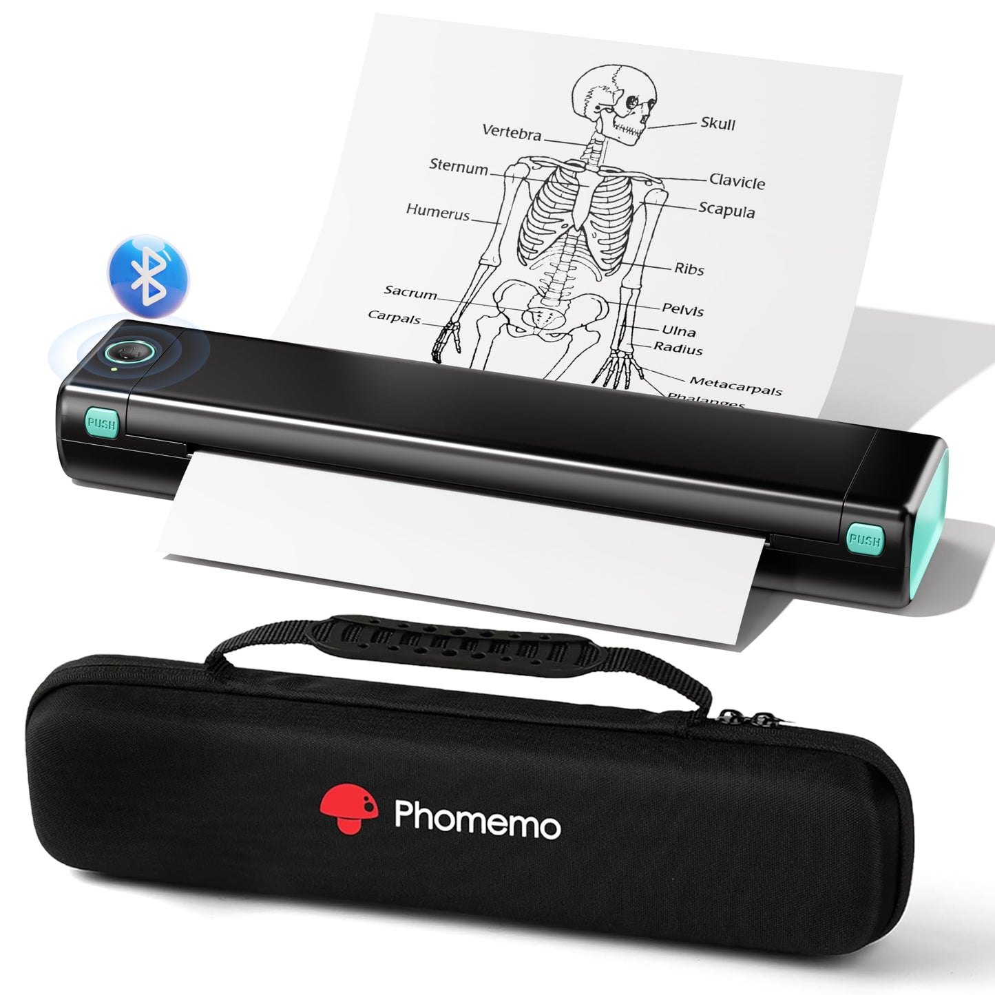 Phomemo Portable Printers Wireless for Travel - Bluetooth Thermal Printer Supports 8.5" X 11" Letter, Inkless Printer Compatible with Phone Laptop for Home Use Car Office School, Come with Carry Case