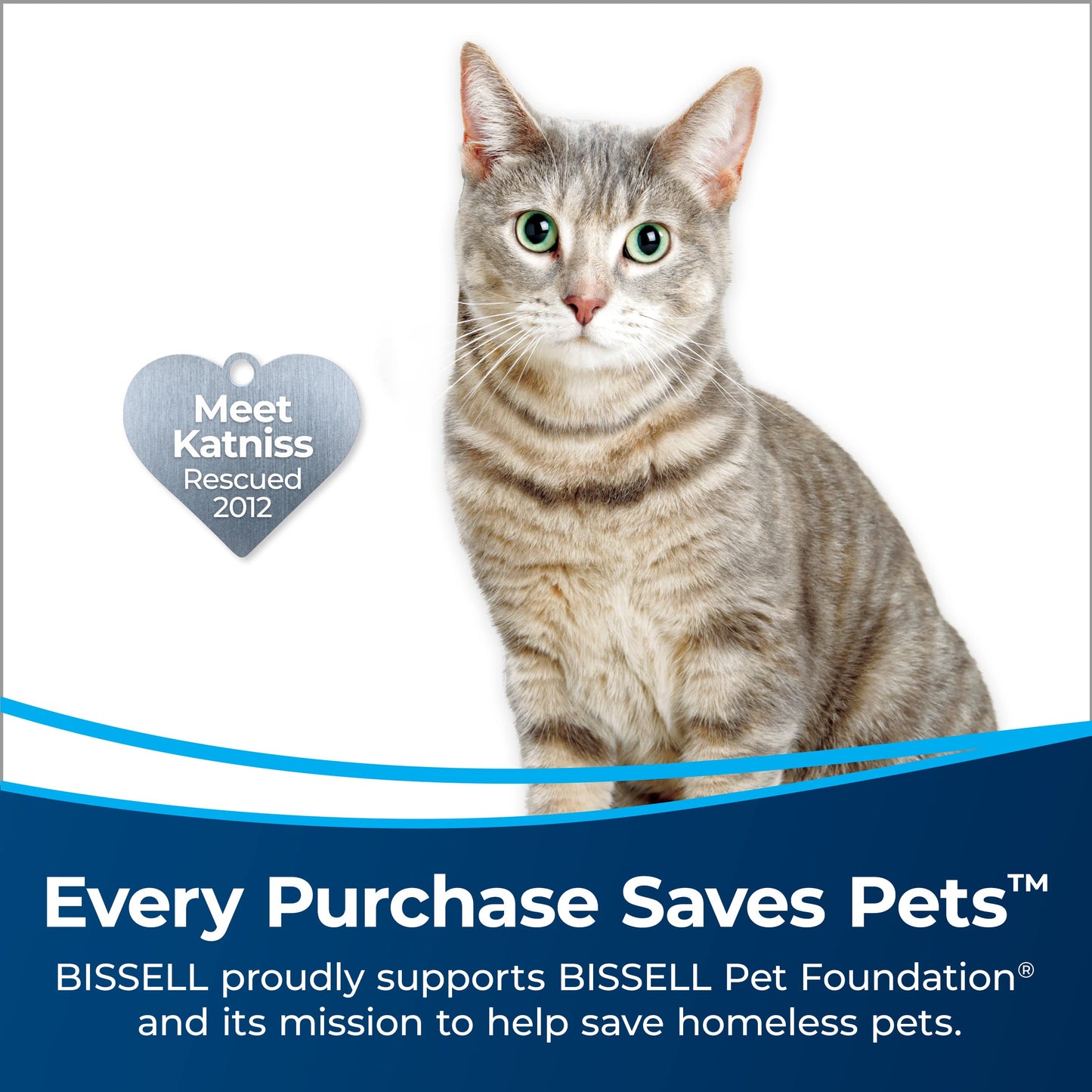 BISSELL air280 and air280 max Replacement filter, New Genuine OEM Part, 3504