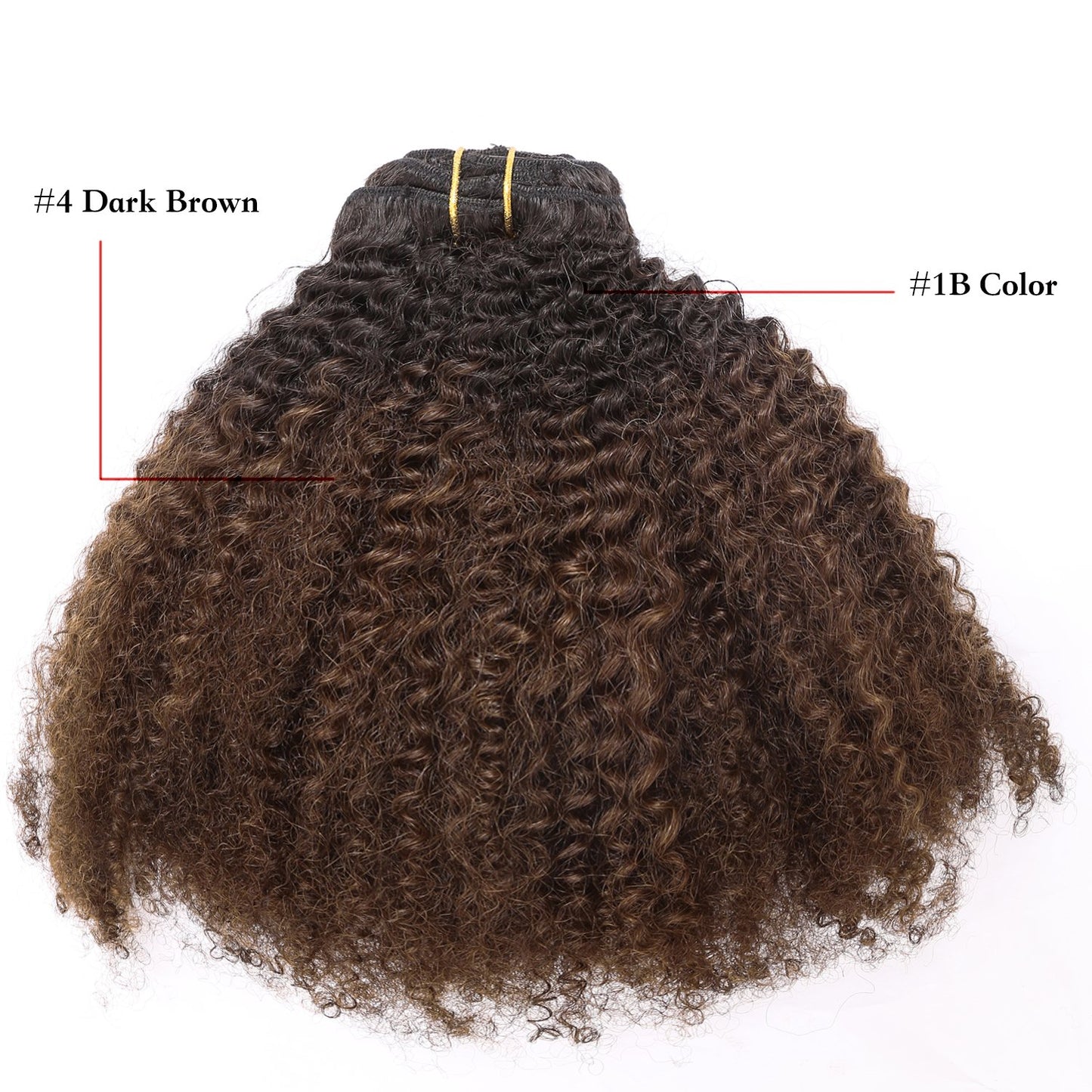 Lacer Hair Curly Clip in Real Remy Human Hair Extensions Afro Kinky Curly Clip ins 4B 4C Natural Black Hair Extensions with 17 Clips 120G Full Head,10 inch,T#1B/4 AC