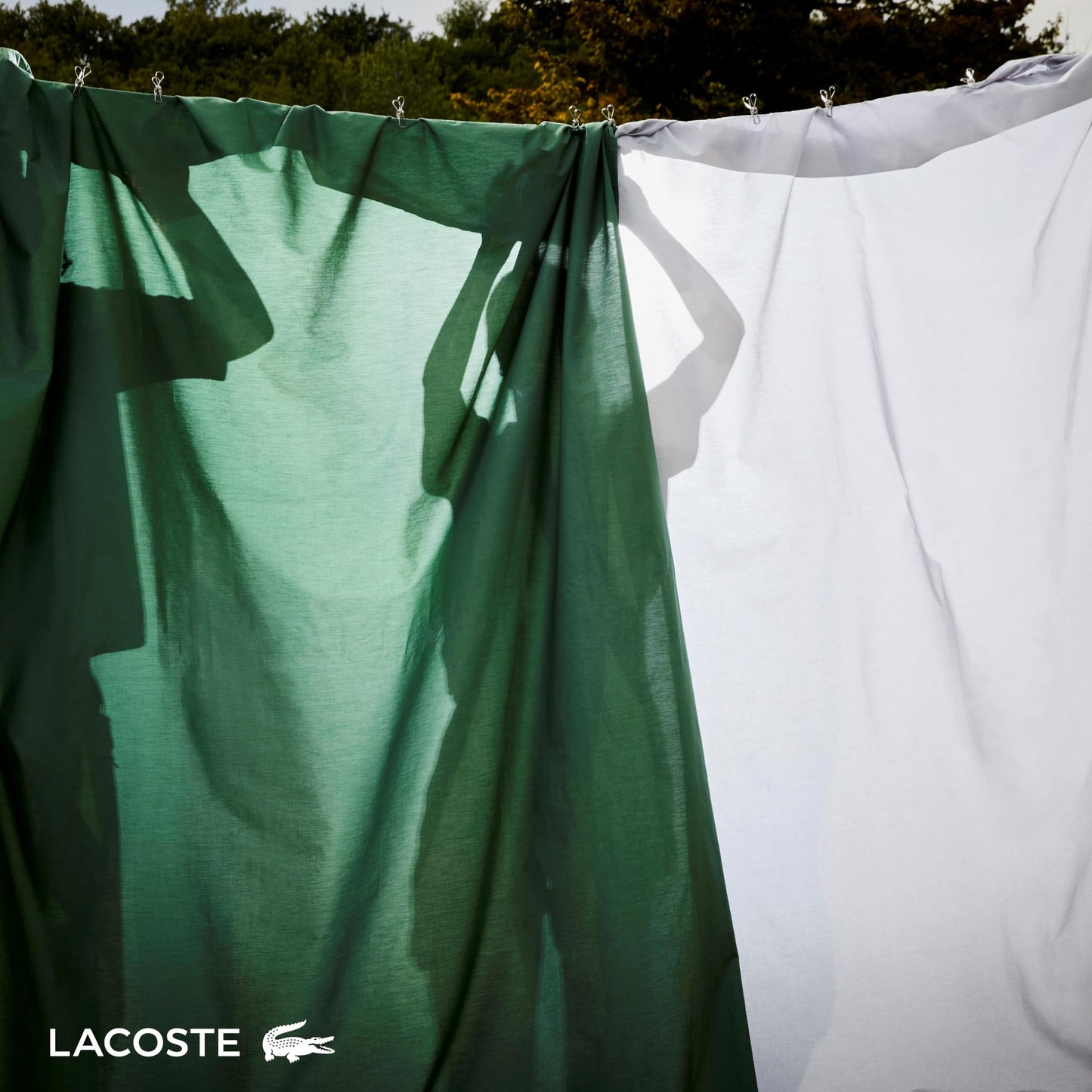Lacoste 100% Cotton Percale 4-Piece Sheet Set – Crisp Cool Breathable All-Season Bedding, Oeko-Tex Certified, Soft Matte Finish, Durable Premium Cotton – Solid, Green, Queen