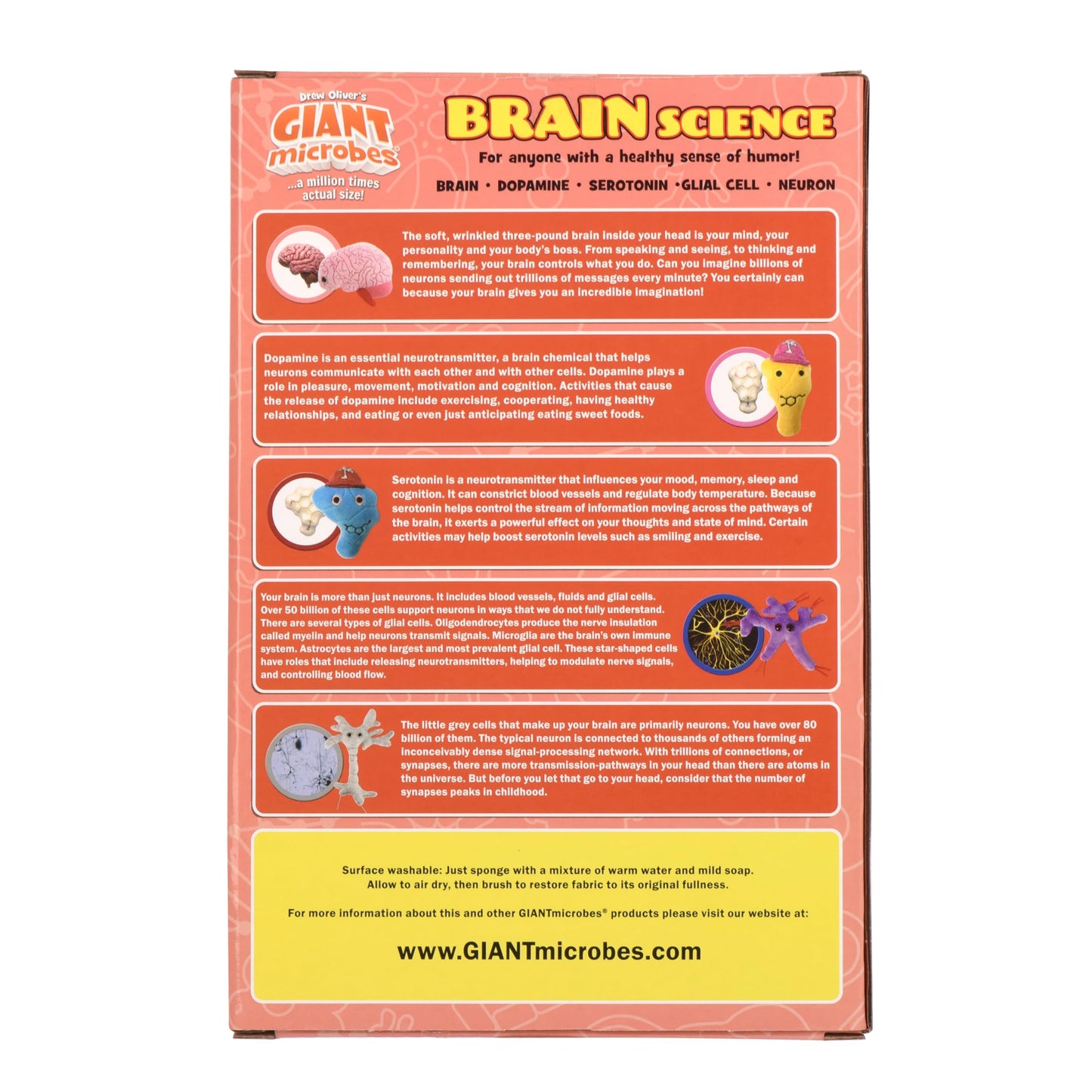 GIANTmicrobes Brain Science Themed Gift Box –Learn about Neuroscience with this 5-piece Box Set of Plush Key Chains, Educational Gift for Students, Doctors, Teachers, Neuroscientists and Psychologists