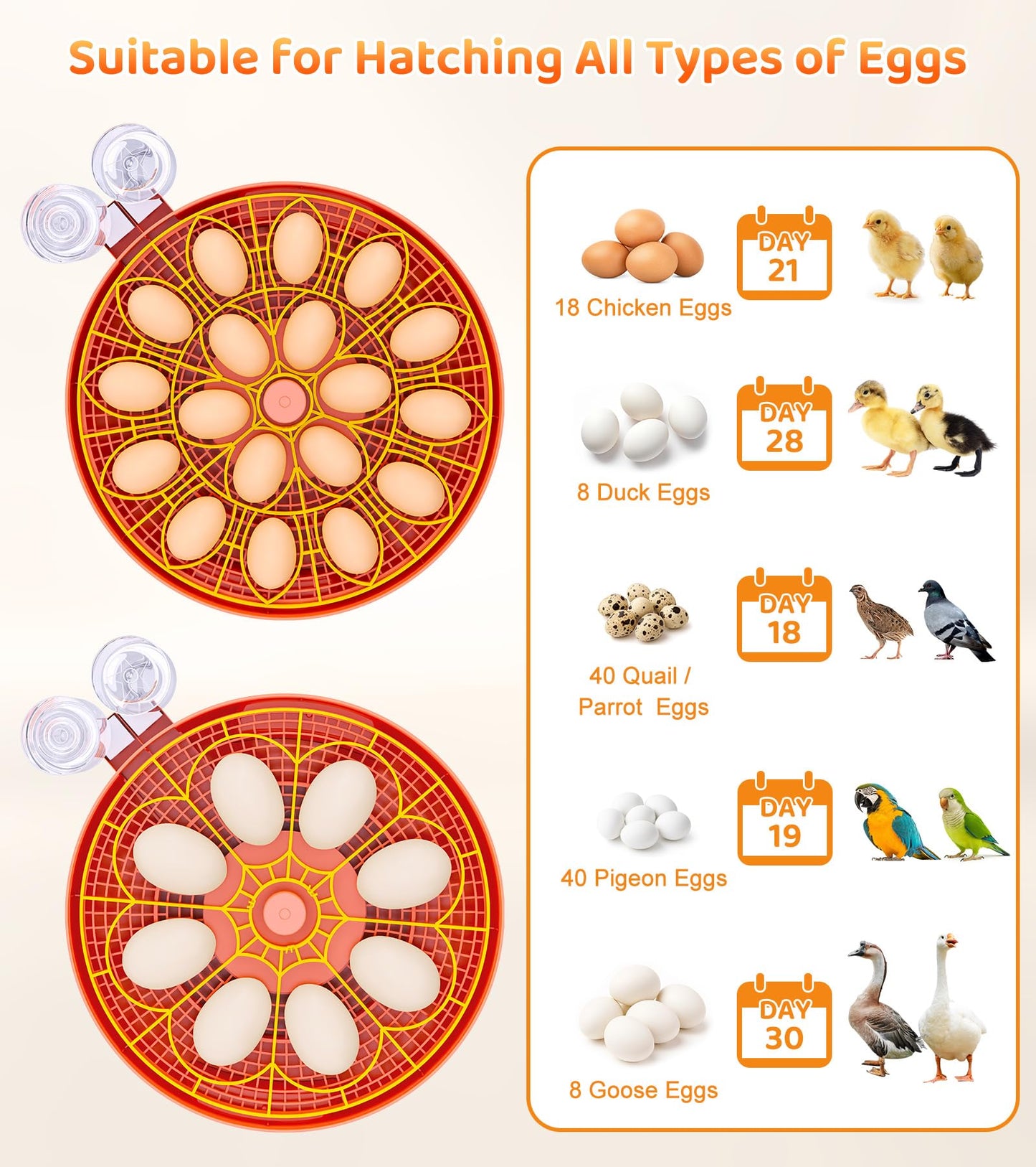 18 Egg Incubator with Automatic Egg Turning, Digital Temperature Humidity Control, Incubator for Hatching Eggs, 360° View Candler, Chicken, Quail, Duck, Goose, Turkey Incubator for Home & Farm