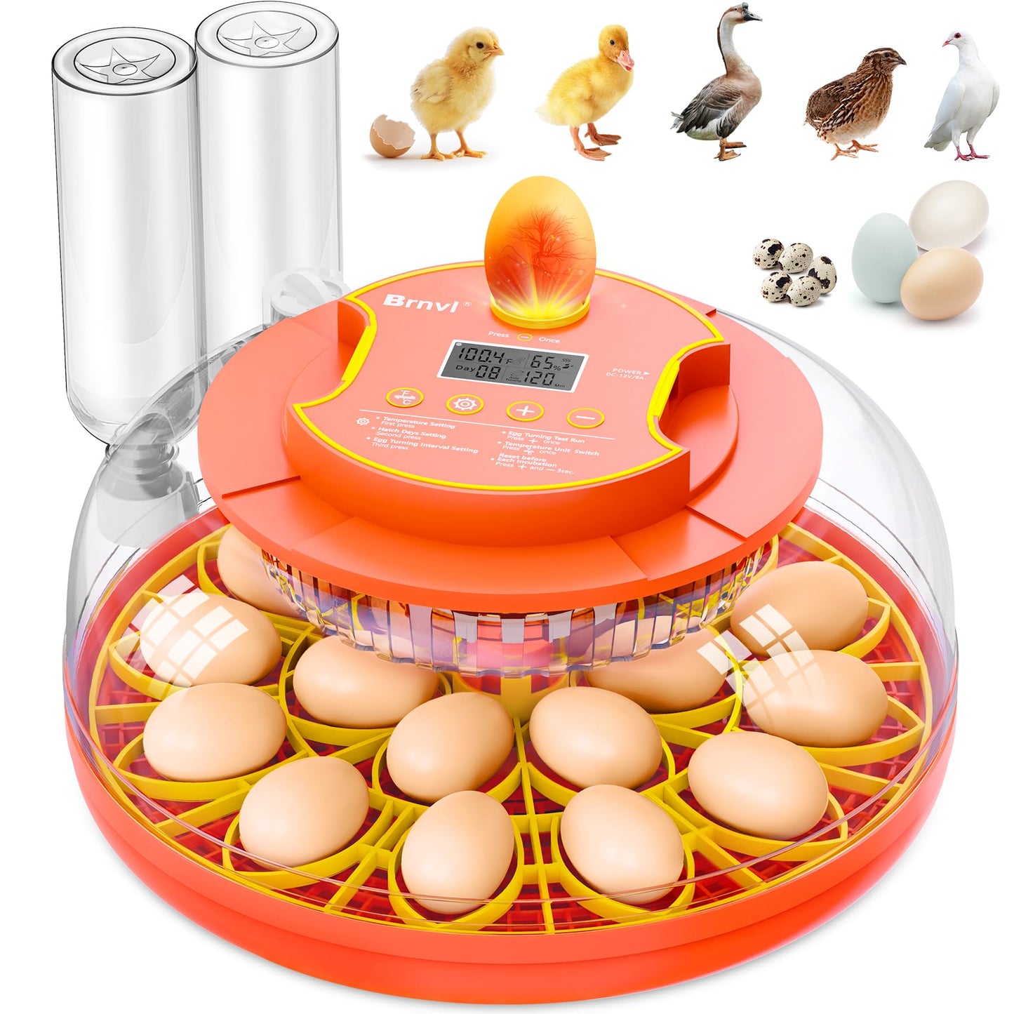 18 Egg Incubator with Automatic Egg Turning, Digital Temperature Humidity Control, Incubator for Hatching Eggs, 360° View Candler, Chicken, Quail, Duck, Goose, Turkey Incubator for Home & Farm