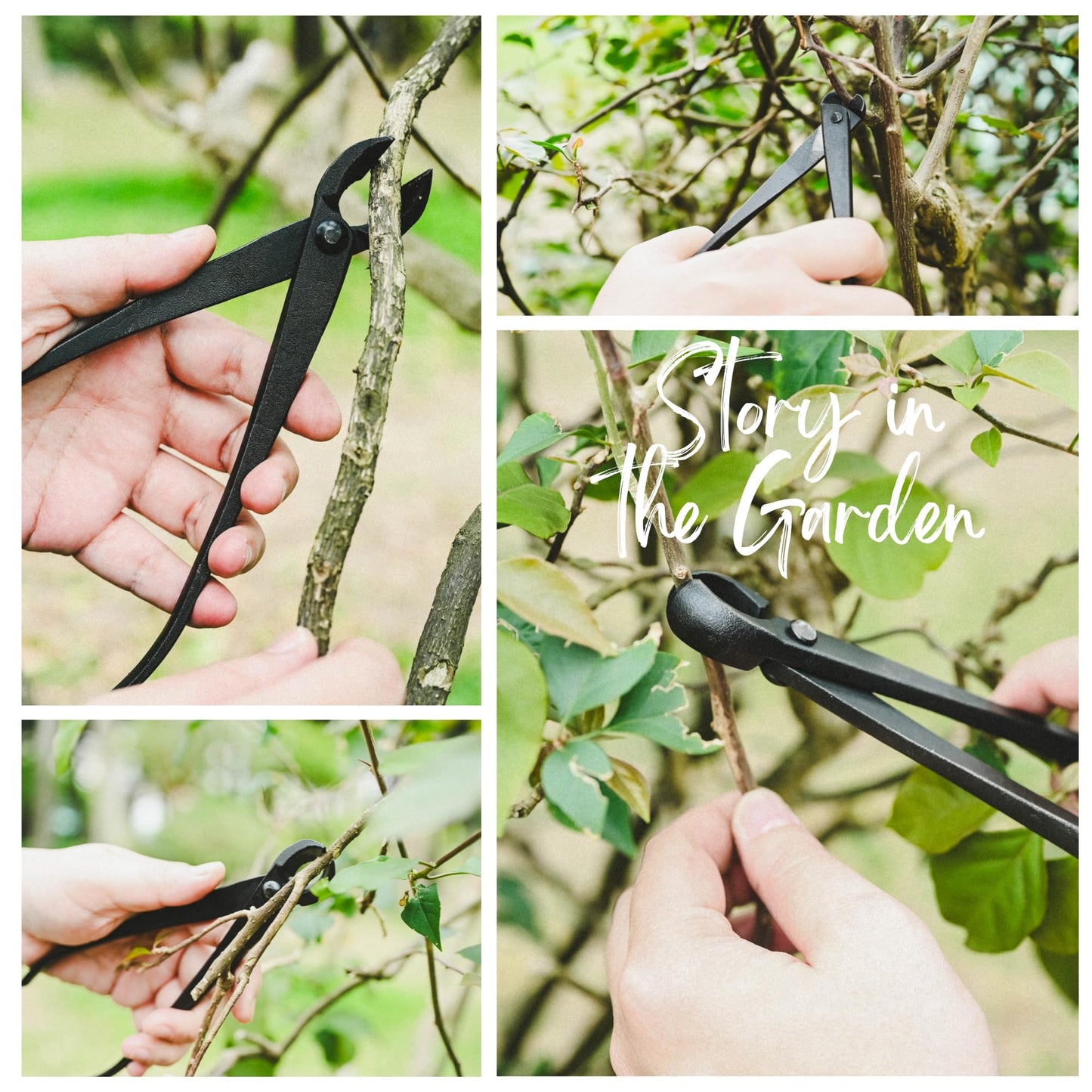 15-Piece Bonsai Tree Kit, Bonsai Tool Set, Bonsai Starter Kit, Carbon Steel Scissors, Cutter Shears, Rake with Spatula, Perfect Gardening Trimming Pruning Tools