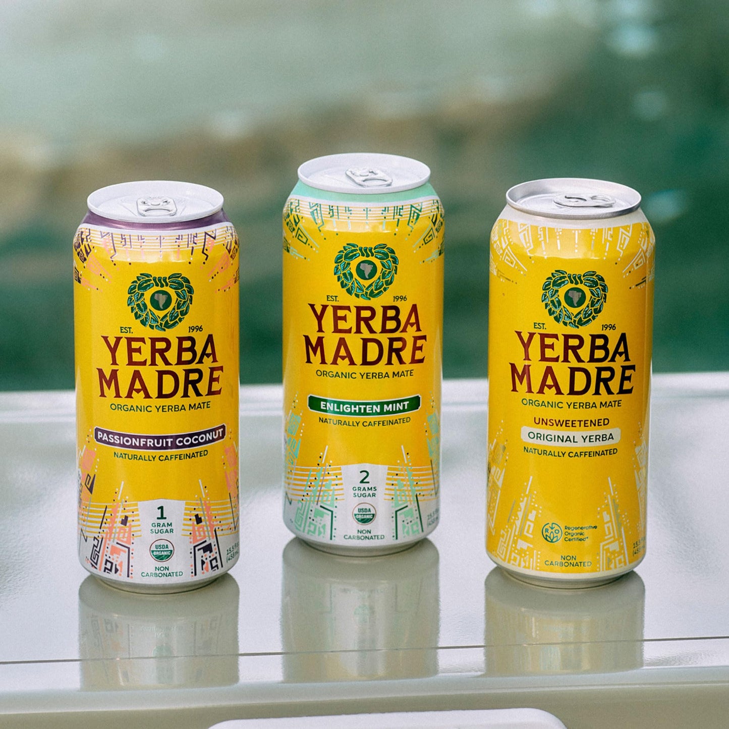 Yerba Madre Organic Yerba Mate, Energy Drink Alternative, Unsweetened Original Yerba, 150mg Plant Based Caffeine, Smooth Energy & Focus, No Jitters or Crash, 15.5oz Cans (Pack of 12)