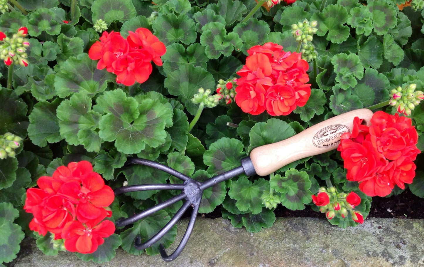 DeWit 5-Tine Cultivator with Short Handle, Lightweight & Durable Garden Tool with Comfortable Grip
