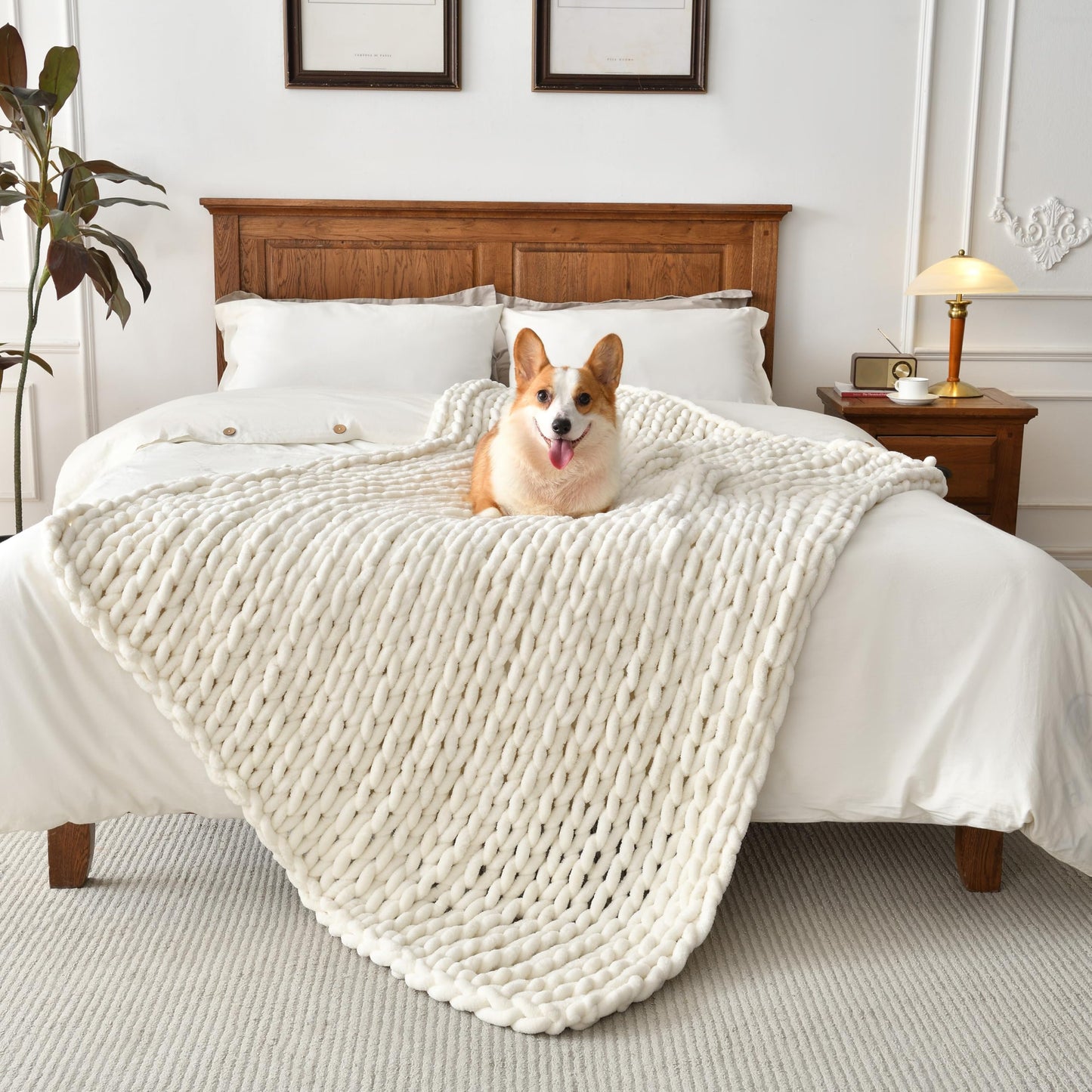 Feabuccy Soft Chunky Knit Blanket, 50X60 In Handmade Thick Chenille Yarn Throw without Shedding & Raveling, Aesthetic & Cozy Home Decor with Couch Sofa Bed, Gift Pack, Ivory White