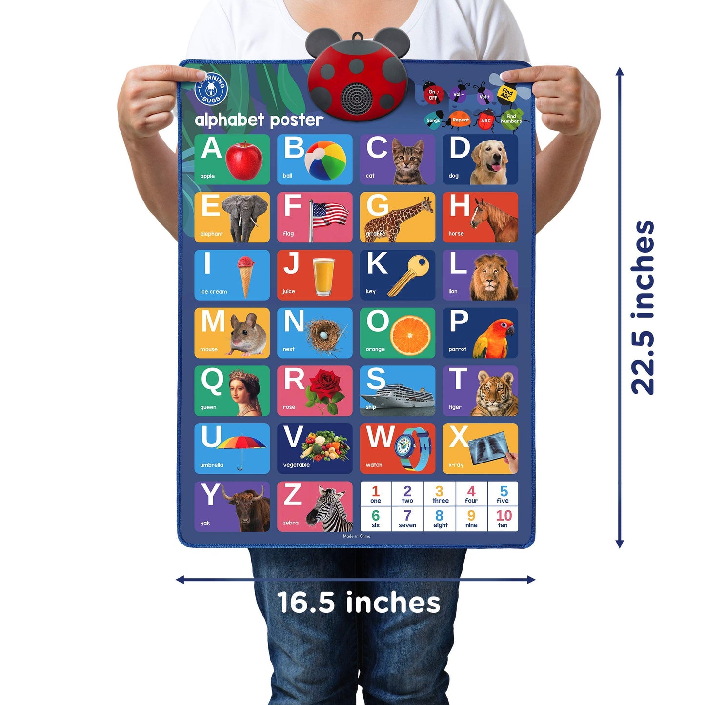 Learning Bugs Interactive ABC & 123s Talking Poster & Musical Wall Chart, Educational Toys for Toddlers