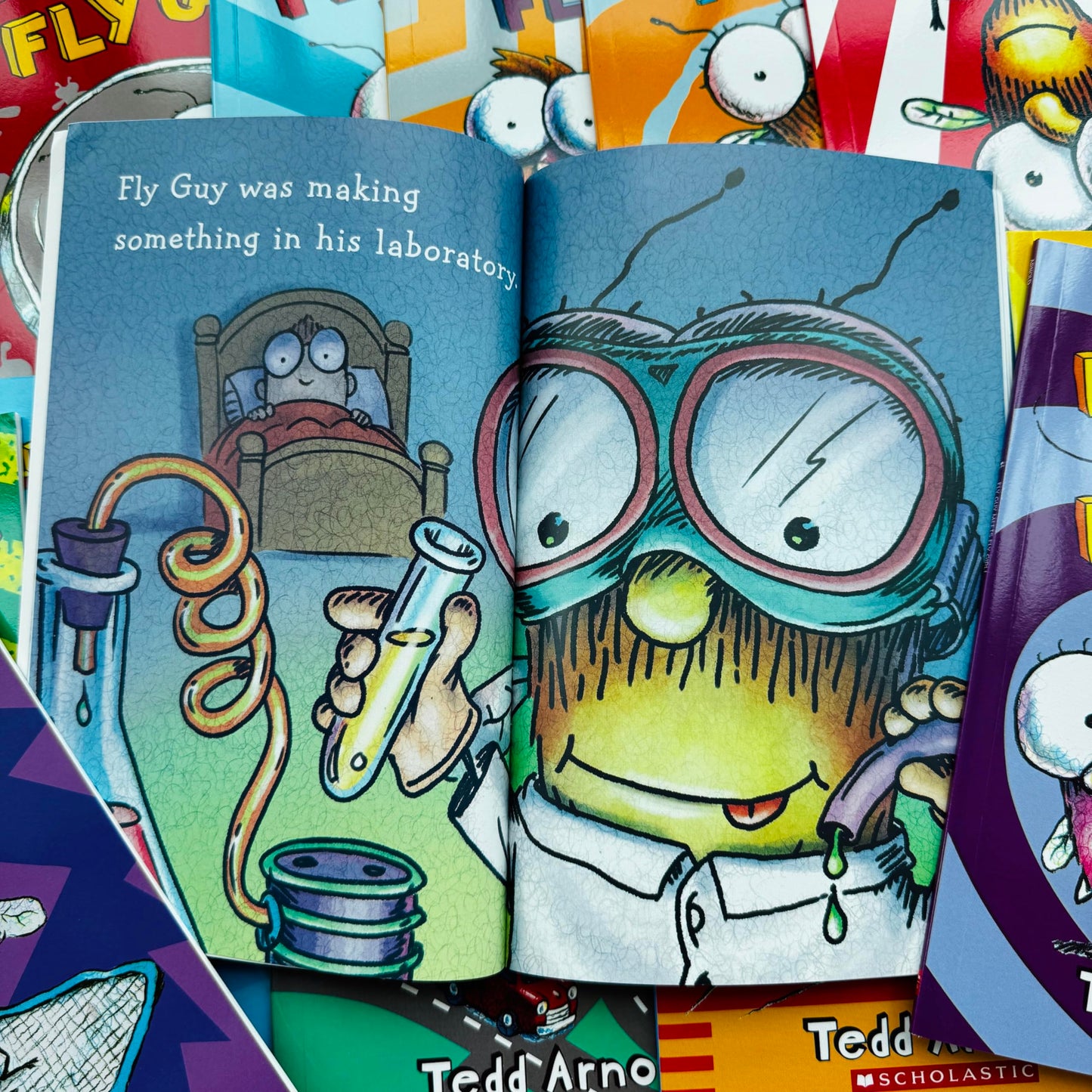 Fly Guy 1-21 Collection Complete Series Pack Set, 21 pcs Boxed Set, For 1st 2nd grade kids children,
