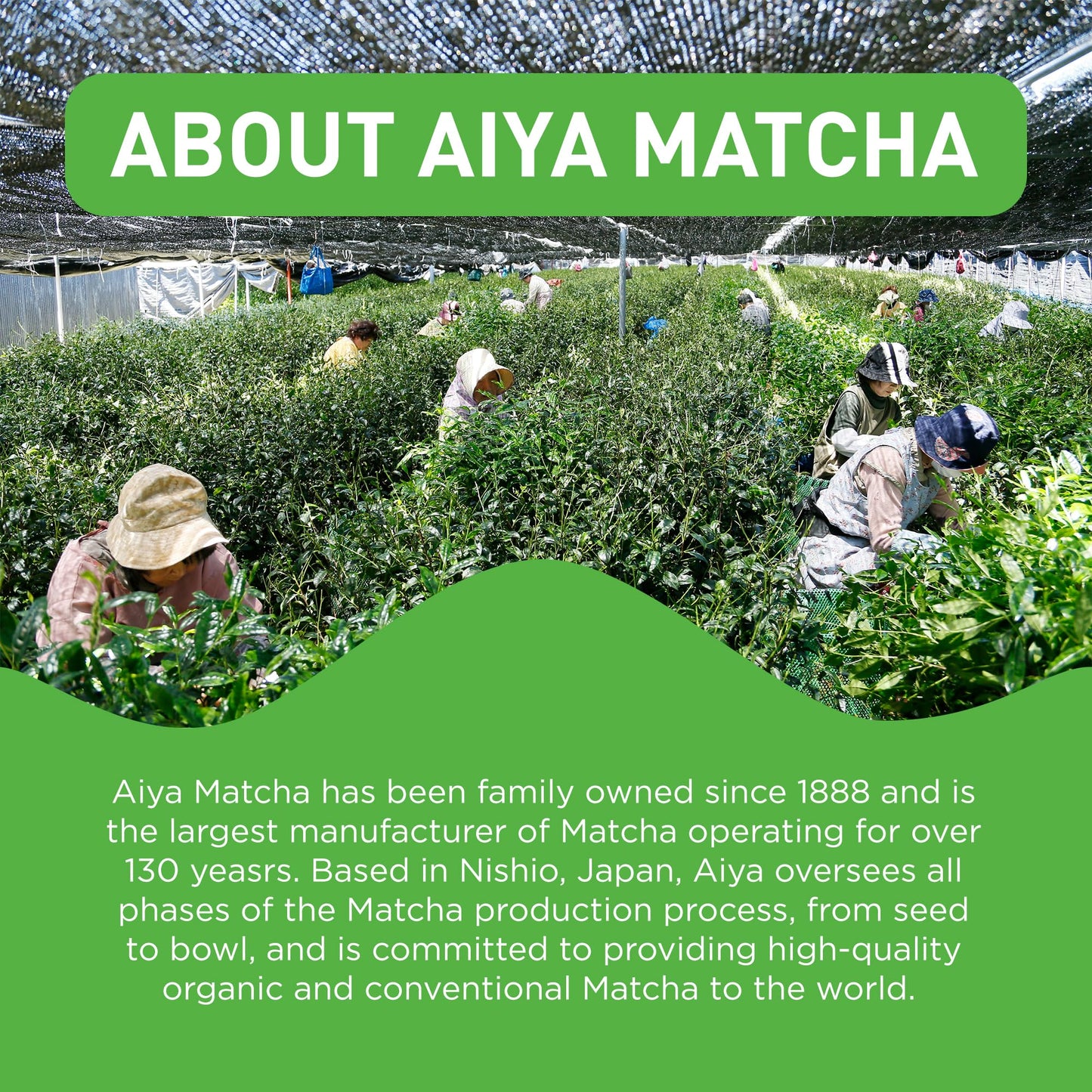 Aiya Authentic Japanese Premium First Harvest Ceremonial Grade Matcha Green Tea Powder - Vegan-Friendly, Zero Sugar, Gluten-Free - 100g Bag (3.53 oz.)