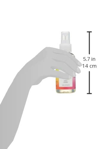 R+Co Mood Swing Straightening Spray 124 ml 4.2 oz