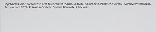 epicuren DISCOVERY Moisture Surge Hyaluronic Acid Gel, 1 Fl Oz (Pack of 1)