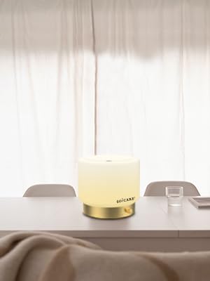 SOICARE Glass Diffuser with Luxury Alloy Base(Gold), All-in-one Room Decor Aromatherapy Oil Diffusers for Essential Oils, Air Scent Essential Oil Diffuser Humidifier,Dimmable Warm Light (280ML)