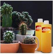 Egyptian Musk Fragrance Oil Ideal for DIY Soap Making, Diffusers, Candles and Body Butters - Long-Lasting Fragrance Essential Oil Good Addition to Lotions and Creams
