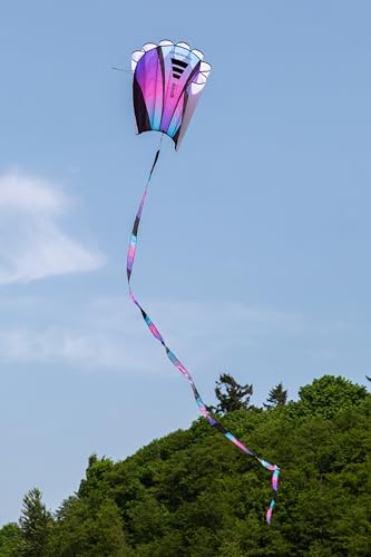 Prism Kite Technology Sinewave Ultraviolet Mesmerizing Parafoil Kite Ready to Fly with 200 Foot Line and Removable 20 Foot Matching Tail