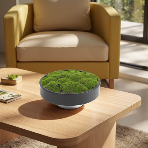 NAHARO New Moss Bowl, Handmade Ceramic. 11" Artificial Moss Bowl Centerpiece for Home Decoration, Living Room, Office