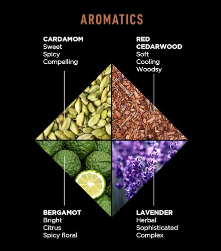 Jack Black Black Reserve Body Collection Set for Men – Cardamom & Cedarwood – Dual-Purpose Mens Body Wash, Pit Boss Mens Deodorant, Mens Body Lotion, Mens Grooming Kit