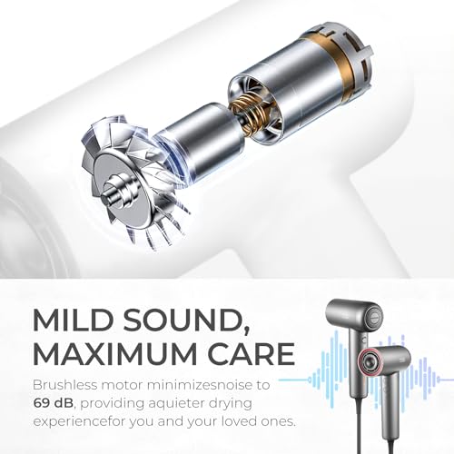 TYMO Ionic Hair Dryer, Professional Hair Blow Dryer with 110000 RPM Brushless Motor for Fast Drying, Lightweight Compact Hairdryer with Nozzle, Low Noise, 4 Temps & 3 Speeds for Women Man, Silver