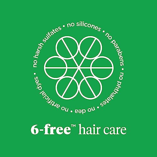 Briogeo Superfoods Avocado + Kiwi Mega Moisture Mask, Protein-Free, Deep Hydration, Enhance Shine, Moisturizing Mask for Dry Hair, Lock In Moisture, Vegan, Cruelty-Free, 8 fl oz
