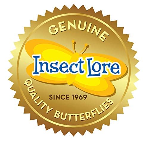 Insect Lore Butterfly Garden | 10 Live Baby Caterpillars | Habitat, Feeder, Chrys-A-Lid Logs, STEM Journal Included | Raise and Release Painted Lady Butterflies