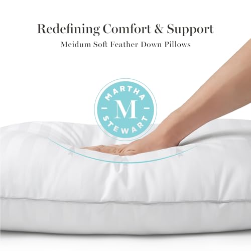 Martha Stewart Medium Soft Feather Down 100% Cotton 500 Thread Count Damask Stripe Embroidered Queen Size Set of 2